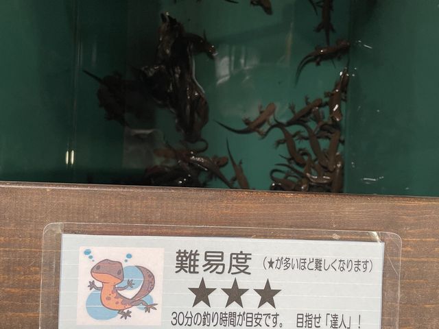 イモリ釣り_釣って見つけるぼうけんの国 湘南釣堀