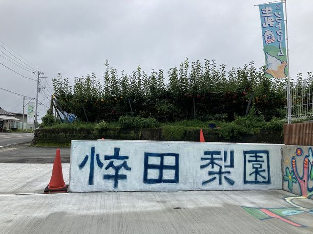 駐車場の壁画 園の名前以外も壁画が描かれてました。_悴田梨園