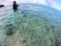 きみえさんのヨロン島ビーチボーイクラブへの投稿写真1