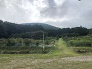 サトプーさんの河津ブルーベリーの里の投稿写真2