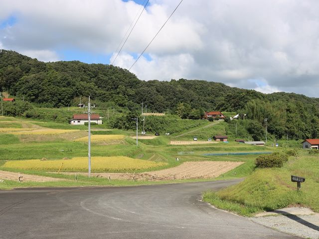 棚田の風景_山王寺の棚田