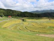 章男君さんの山王寺の棚田の投稿写真1