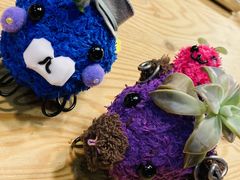 ころまさんのことのは園藝研究所への投稿写真1