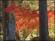hesonabeさんの大義山覚照寺(伊達御廟)の投稿写真11