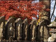 hesonabeさんの大義山覚照寺(伊達御廟)の投稿写真12