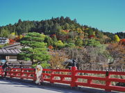 ひろさゆさんの中橋の投稿写真2