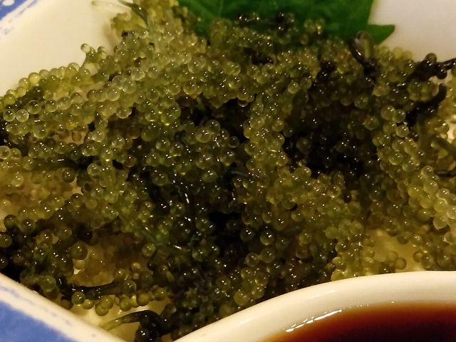 海ぶどう_沖縄居酒屋 侍ちゃんぷる 清水店