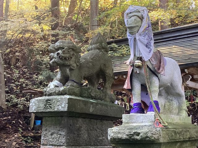 写真はないけれど各々相方はいます。手ぬぐいの上から風呂敷かぶってるのかな。_落合・板留遊歩道