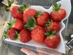 かんちゃんさんのさくらファームへの投稿写真1