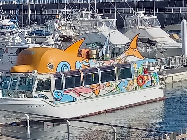 はるひら丸遊覧船イルカ号
