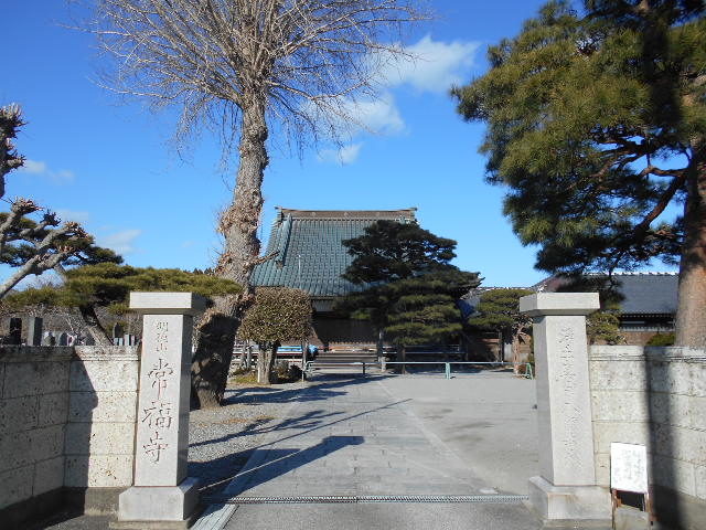 トシローさんの常福寺の投稿写真1