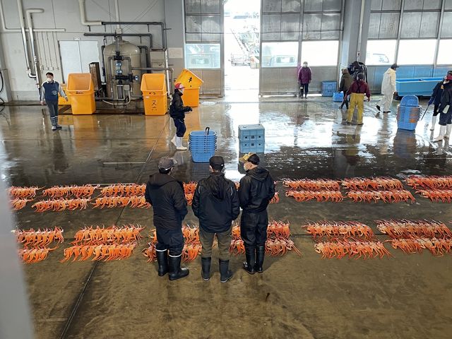 辺り一面カニ、カニ、カニ。_富山のきときと市場