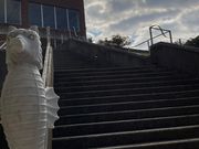 ウッキーさんのさざ波の湯の投稿写真1