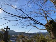 ウッキーさんのキリシタン墓地の投稿写真1