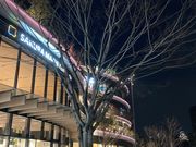 ウッキーさんのサクラマチクマモトの投稿写真1