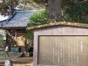 あきぼうさんの深谷ビッグタートルの投稿写真1