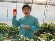 しょうこさんの日光いちご園 渡辺の投稿写真2