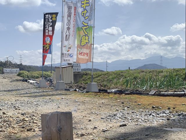 スェーデントーチ
_ファームステイ近江
