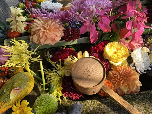東福寺の塔頭の1つです。花手水が綺麗で多くの女性が訪れていました。_勝林寺