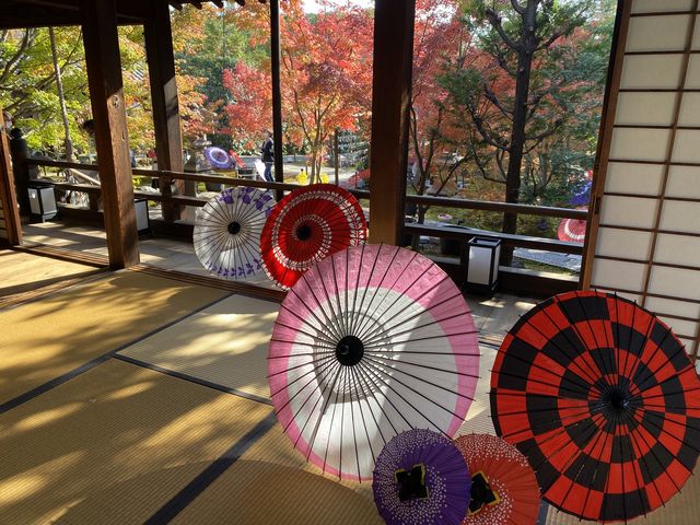 境内も楽しめるように工夫がしてありました。_勝林寺