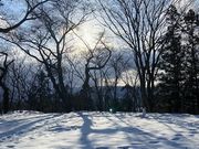 sumomoさんの城山公園の投稿写真2