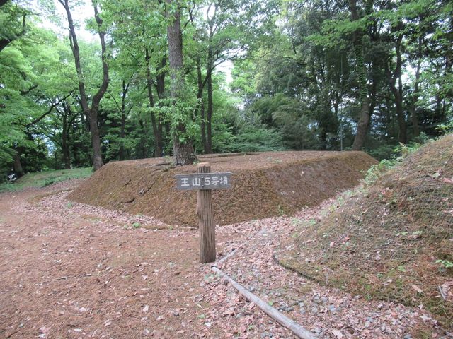 数個の古墳が連なる_王山古墳群