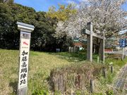 4人のかーちゃんさんの加藤嘉明陣跡公園の投稿写真1