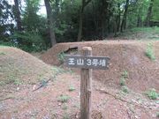 鶴亀松竹梅扇さんの王山古墳群の投稿写真1