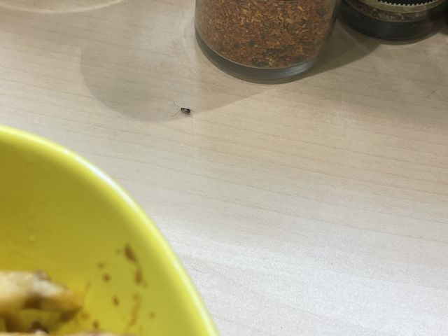 カウンター席_はま寿司 鹿嶋佐田店