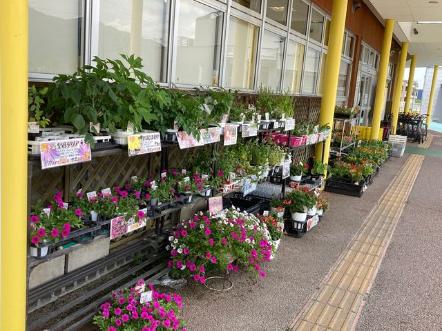 八代よかとこ物産館_八代よかとこ物産館
