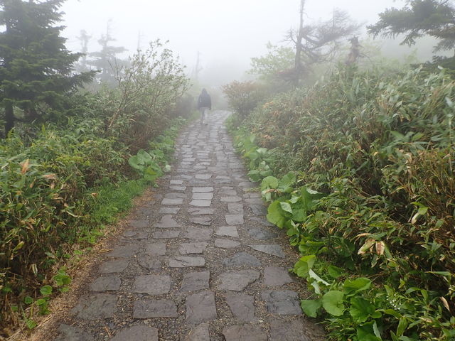 八幡平大沼遊歩道