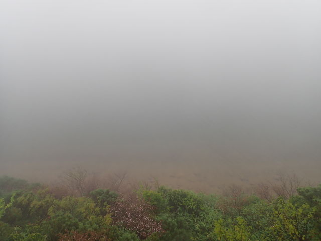 八幡沼