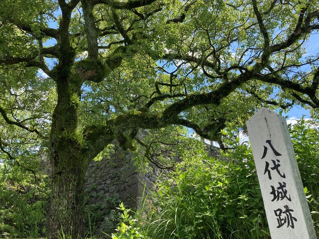 八代城跡_八代城跡