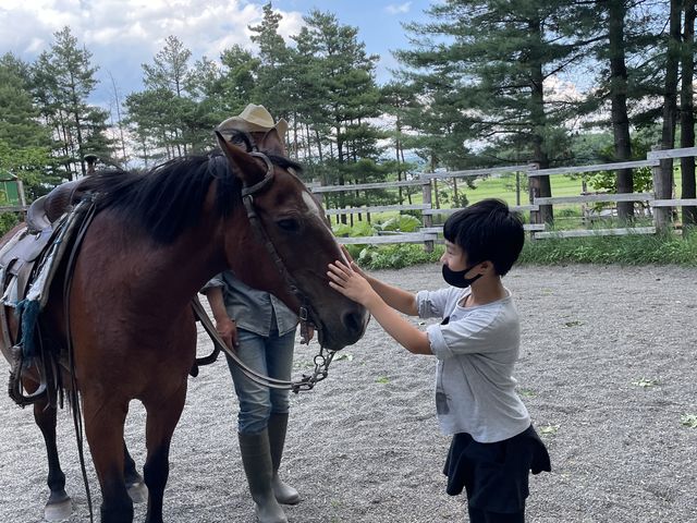 娘と馬が大好きになりました。_クラークホースガーデン