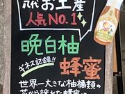 ウッキーさんの八代市観光物産案内所(新八代駅) 兼 蜂蜜専門店にしおかの投稿写真1