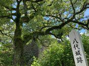 ウッキーさんの八代城跡の投稿写真1