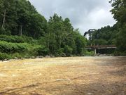 ここさんの白絹の床の投稿写真1