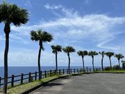 レイラさんの大浜海浜公園の投稿写真1