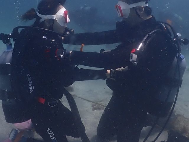 見つめ合うねは難しいなぁ。_ダイブ&ハウス富戸