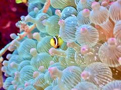 シーマンズビーチの写真1