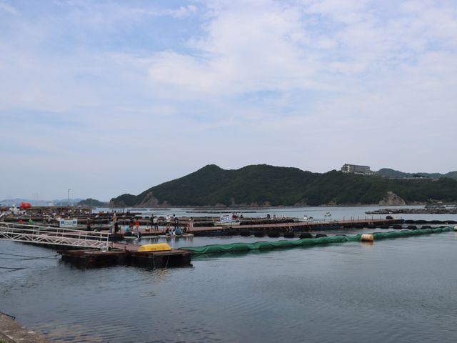 淡路島 淡路じゃのひれドルフィンファーム_淡路じゃのひれオートキャンプ場