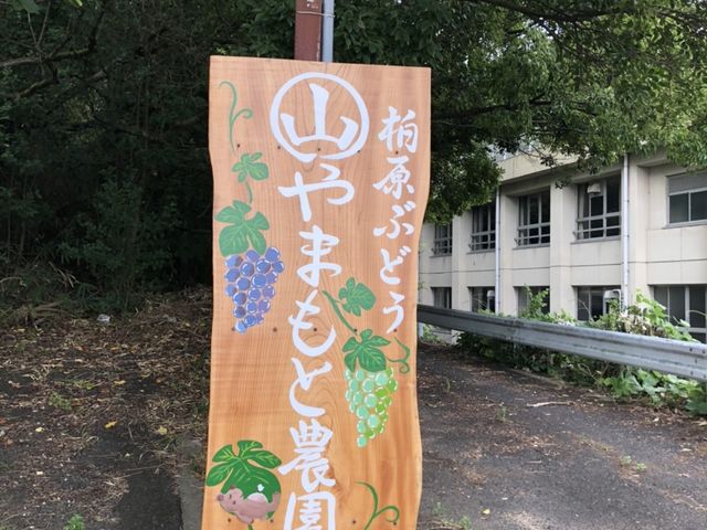 この看板からは別世界ですよ!
畑までもう少し!_山本(〇山)農園(柏原市観光ぶどうセンター)
