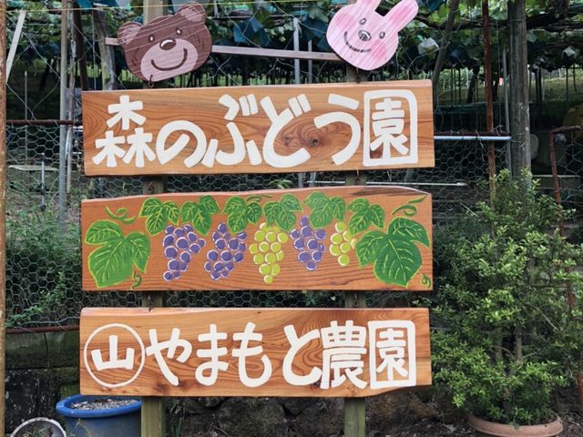 畑の入口にある看板は記念写真に人気です。_山本(〇山)農園(柏原市観光ぶどうセンター)