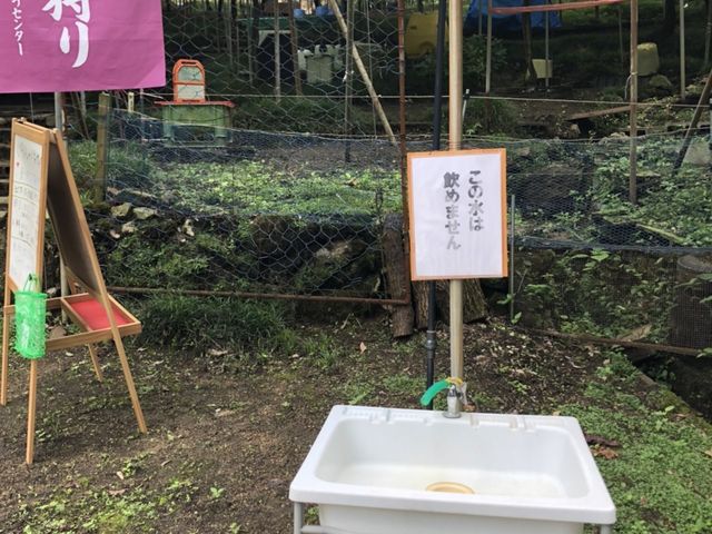 畑の入口にある水道です。
山の水なので飲むことはできません。_山本(〇山)農園(柏原市観光ぶどうセンター)