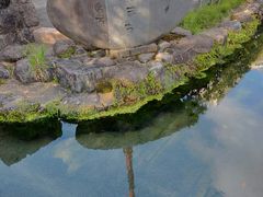あきぼうさんの鯉の泳ぐまちへの投稿写真1