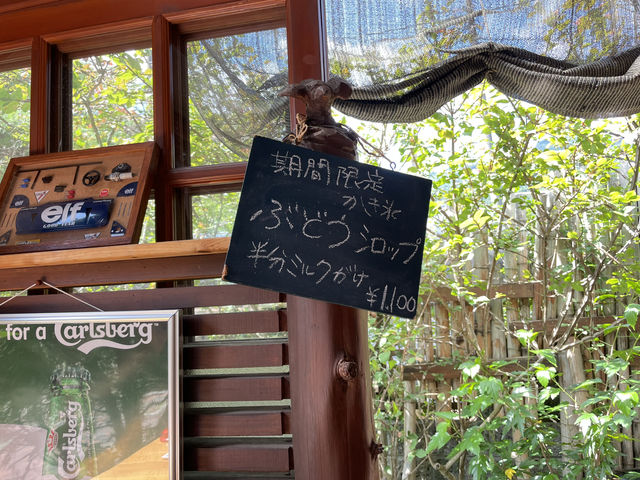 ぽっきーさんの山草の投稿写真5