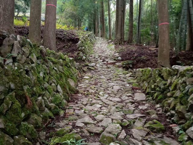 石畳の古道_熊野古道 小辺路