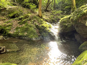 ピチョンさんのロックガーデンの投稿写真4