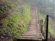 トシさんの世界遺産熊野古道 三浦峠の投稿写真3