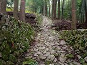 トシさんの世界遺産熊野古道 三浦峠の投稿写真4